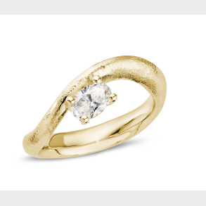 40 �rs jubil�rums ringe 