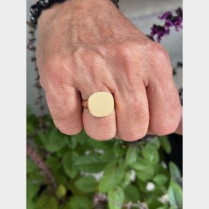 14kt. Signet ringen bred 